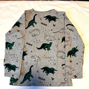 Boys Dinosaur pyjama top